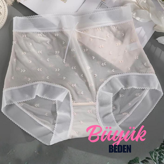 Büyük Beden Dantel Külot